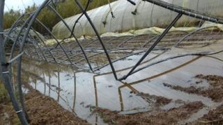 A ce jour, 80 exploitations agricoles varoises ont déjà été recensées - auprès de la cellule de crise agricole - suite aux intempéries exceptionnelles survenues du 22 au 24 novembre 2019. ©Chambre d’agriculture du Var